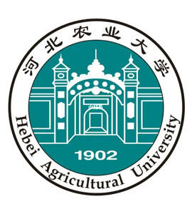北辰河北农业大学