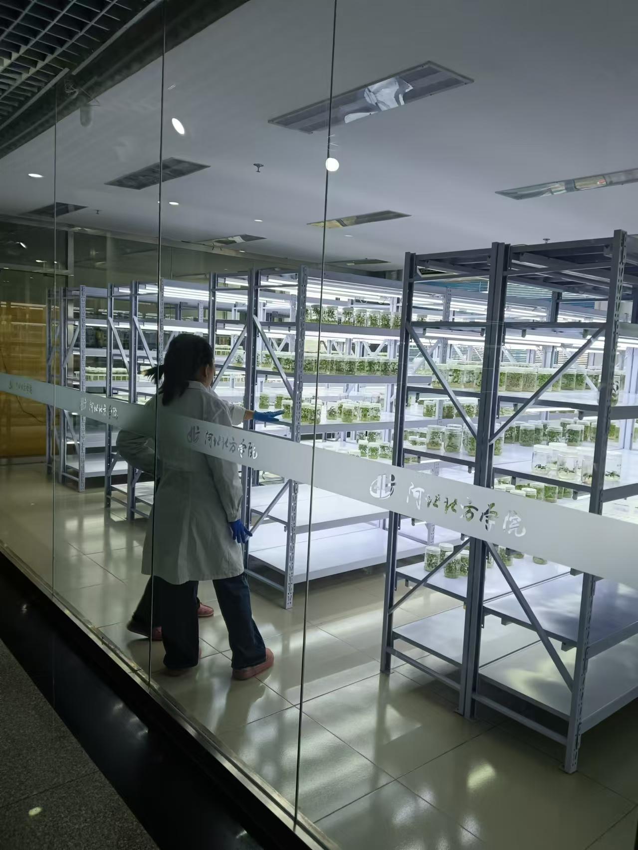 北辰植物组培室设计的基本布局有哪些?